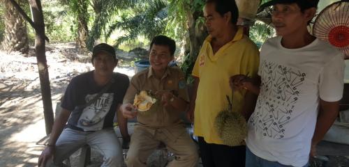 Kepala BAPPEDA menikmati durian Super Tembaga di Pembibitan Amang Subanhur, Kemuja